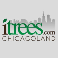 iTrees