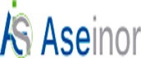 Aseinor