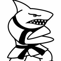 Action Karate Plymouth - Martial Arts for Kids in King of Prussia