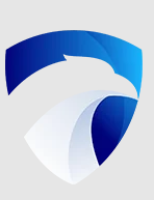 Alta Security Services