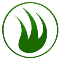 AGP Florida Artificial Turf