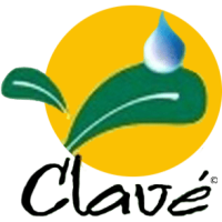 Clavé Body, Face & Hair Care – Organic Clean Beauty Essentials