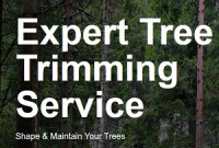 Rosas Tree Service of Fairfield