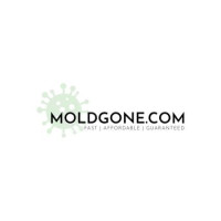 MoldGone
