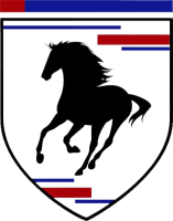 Black Mustang Transport