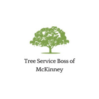 Tree Service Boss of McKinney