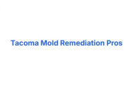 Tacoma Mold Remediation Pros