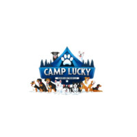 Camp Lucky Board and Train (STL)