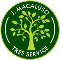 J. Macaluso Tree Service