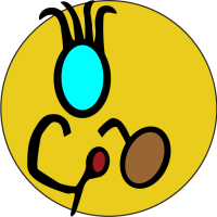 Tachini Drums