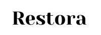 Restora Pillow