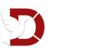 Rank Higher with Premier SEO Services | Local + Worldwide SEO | DigiskyExpert
