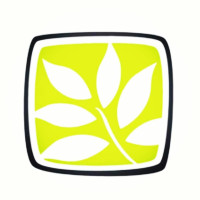 Northeast Georgia Plastic Surgery