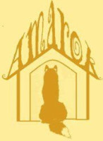 Residencia Canina Amarok Trazo