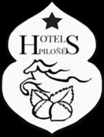 Hotel Piloñés