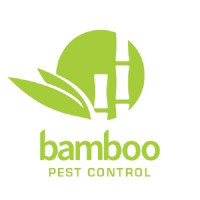 Bamboo Pest Control Servicing