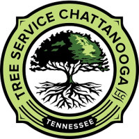 Tree Service Chattanooga, LLC