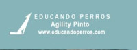 Educando Perros