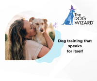 The Dog Wizard – Dog & Puppy Obedience Training Charlotte