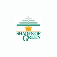 Shades of Green