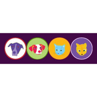 Jordan's Pet Care - Brooklyn Dog Walking and Pet Sitting