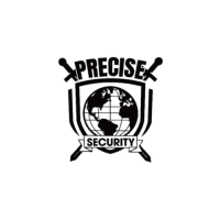 Precise Global Protection Services INC