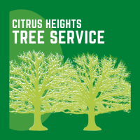 Citrus Heights Tree Service