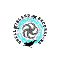 Shell Island Excursions