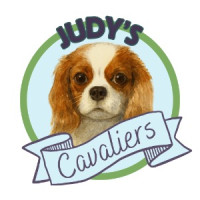 Judy's Cavaliers