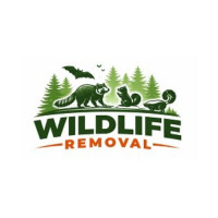 Wildlife Removal Pros