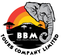 bbmsafaris