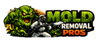 Mold Removal Pros Longmont