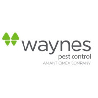 Waynes Pest Control