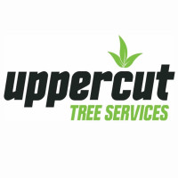 Uppercut Tree Services