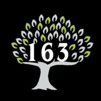 163 LLC