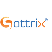 Sattrix Information Security DMCC