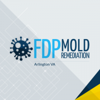 FDP Mold Remediation of Arlington