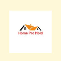 Home Pro Mold Services