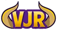 Viking Junk Removal
