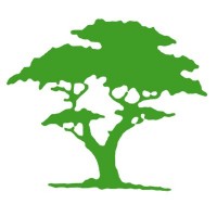 Go Tree Quotes