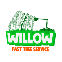 Willow Fast Tree Service