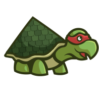 Roofing Service in Texas - Roofing Turtle