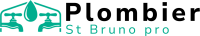 plombier stbruno pro
