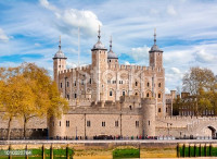 Accounting Firm in London