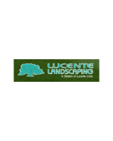Lucente Landscaping