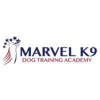 Marvel K9 Dog Training Academy