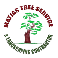 Matias tree service and landscape contractor
