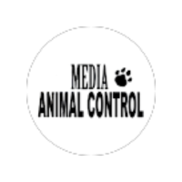 Media Animal Control