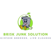Brisk Junk Solution