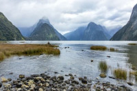 FOR ISRAELI CITIZENS - FOR ISRAELI CITIZENS - NEW ZEALAND Immigration of New Zealand for Electronic Travel Authority and Visa for Tourist and Business - ויזה ממשלתית רשמית של ניו זילנד - ויזה מקוונת לניו זילנד - NZETA